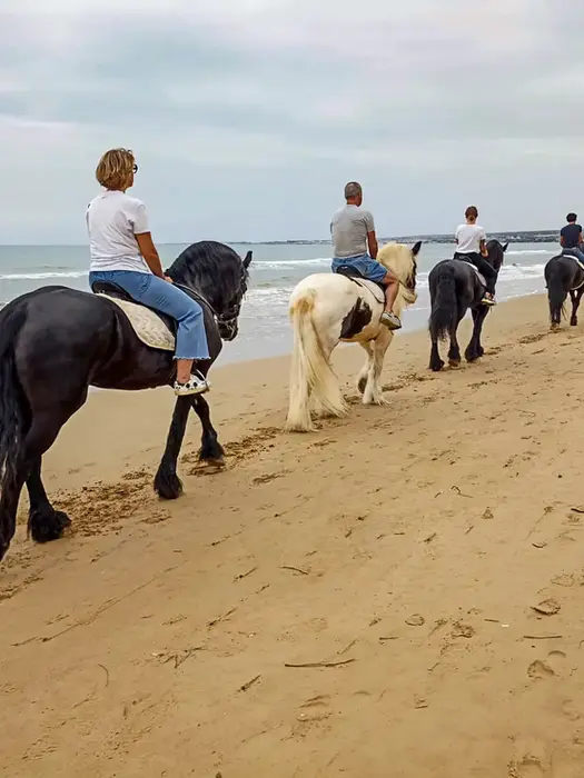 Giro a cavallo in spiaggia
