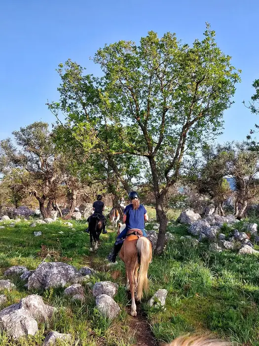 Escursione a cavallo per principianti Palermo