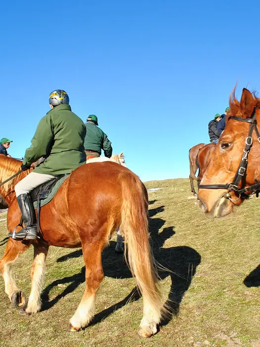 Passeggiata a cavallo Nebrodi