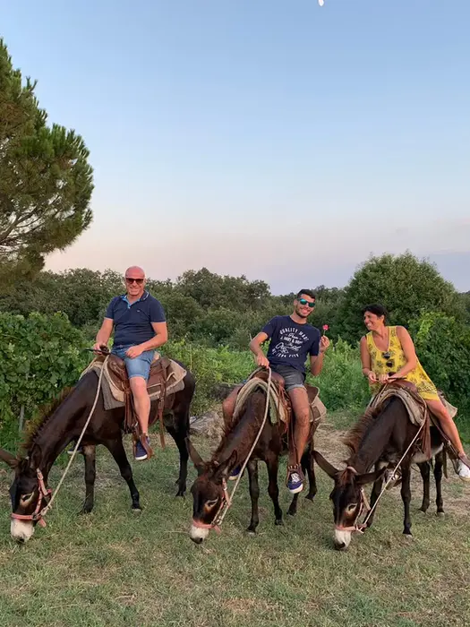 Escursione sull'Etna per famiglie a dorso d'asino