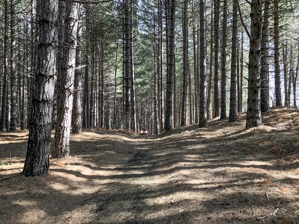 Escursioni in Sicilia