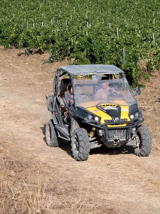 Escursione in quad Segesta