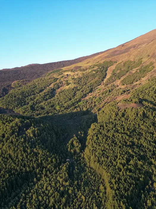 Tour in mountain bike elettrica Etna