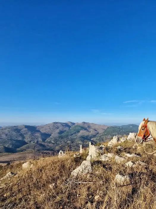 Escursioni a Cavallo