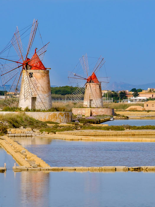 Tour a cavallo Marsala con vista sui mulini a vento delle saline dello Stagnone
