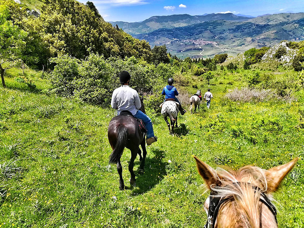 Palermo horse riding