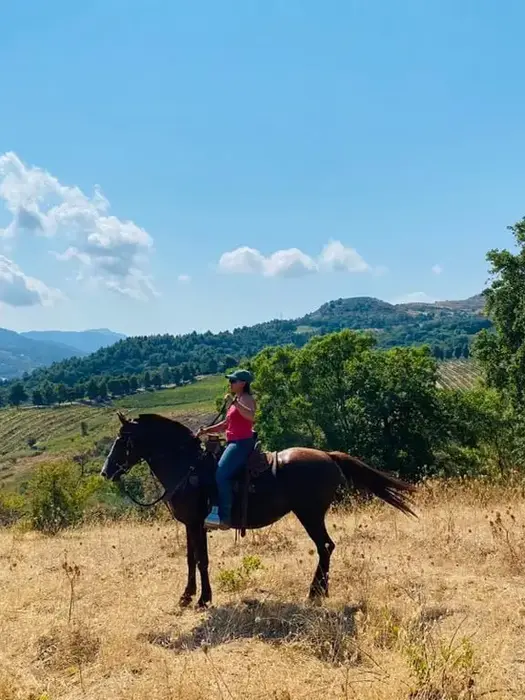 Esperienza a cavallo nel Parco delle Madonie