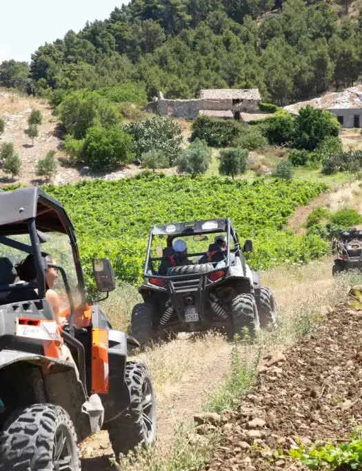 Escursioni in buggy Sicilia