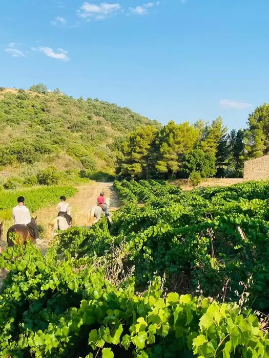 Passeggiata a cavallo Cefalu