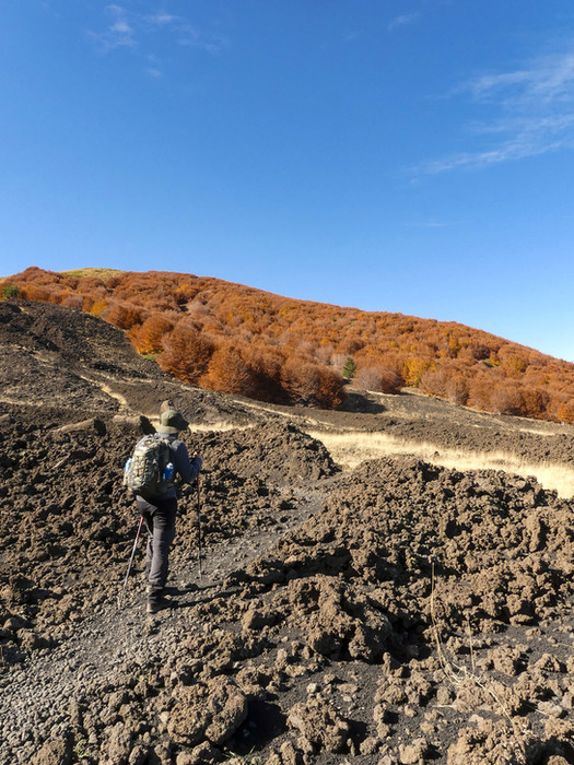 Foliage sull'Etna