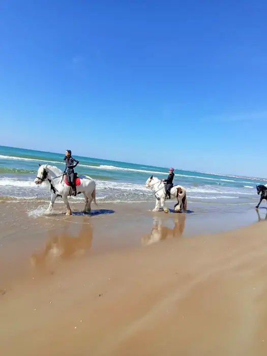Passeggiata a cavallo sulla spiaggia Sicilia, Santa Maria del Focallo