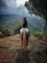 Guida escursioni a cavallo Palermo