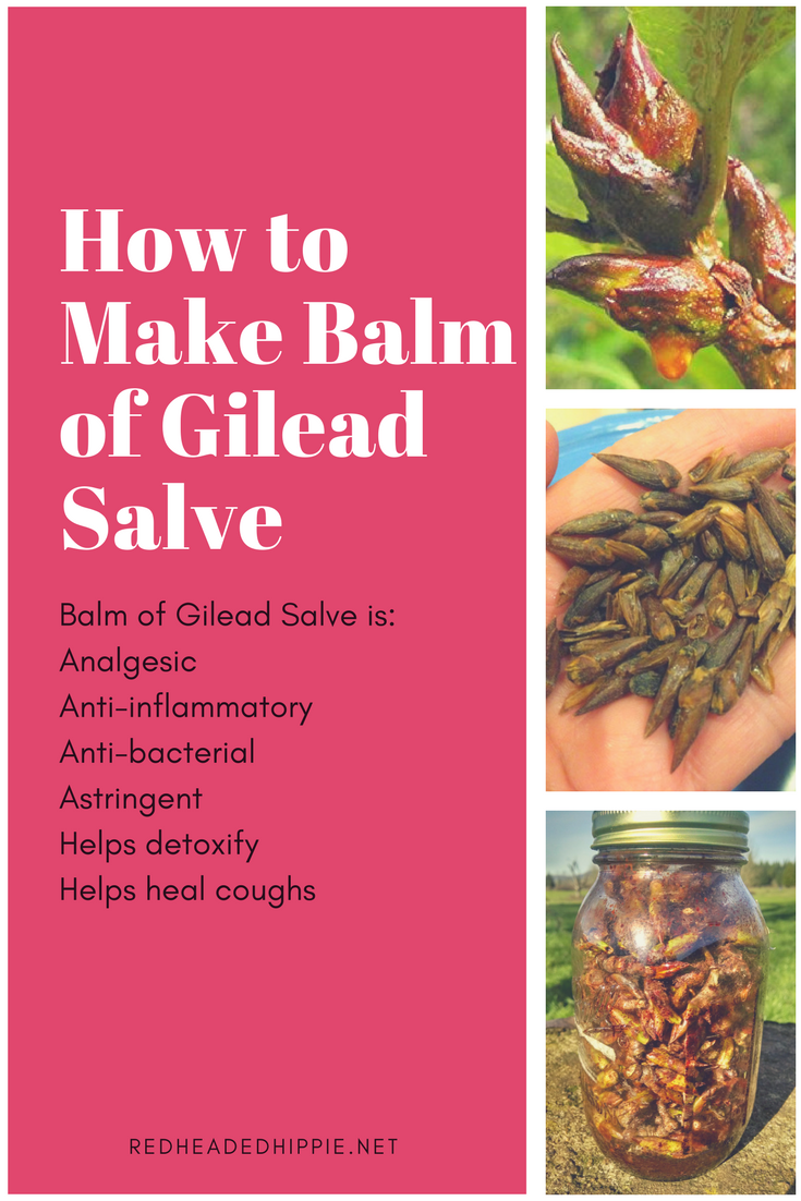 Balm of GIlead
