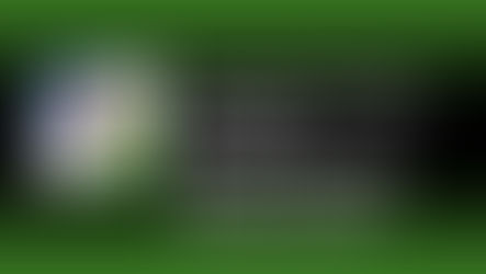 Investment Scams and “Pig Butchering”: The Fastest Growing Financial Scam