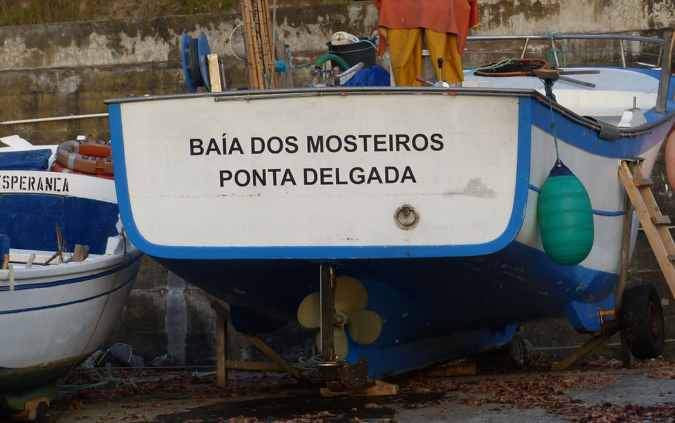 P1080874.JPG