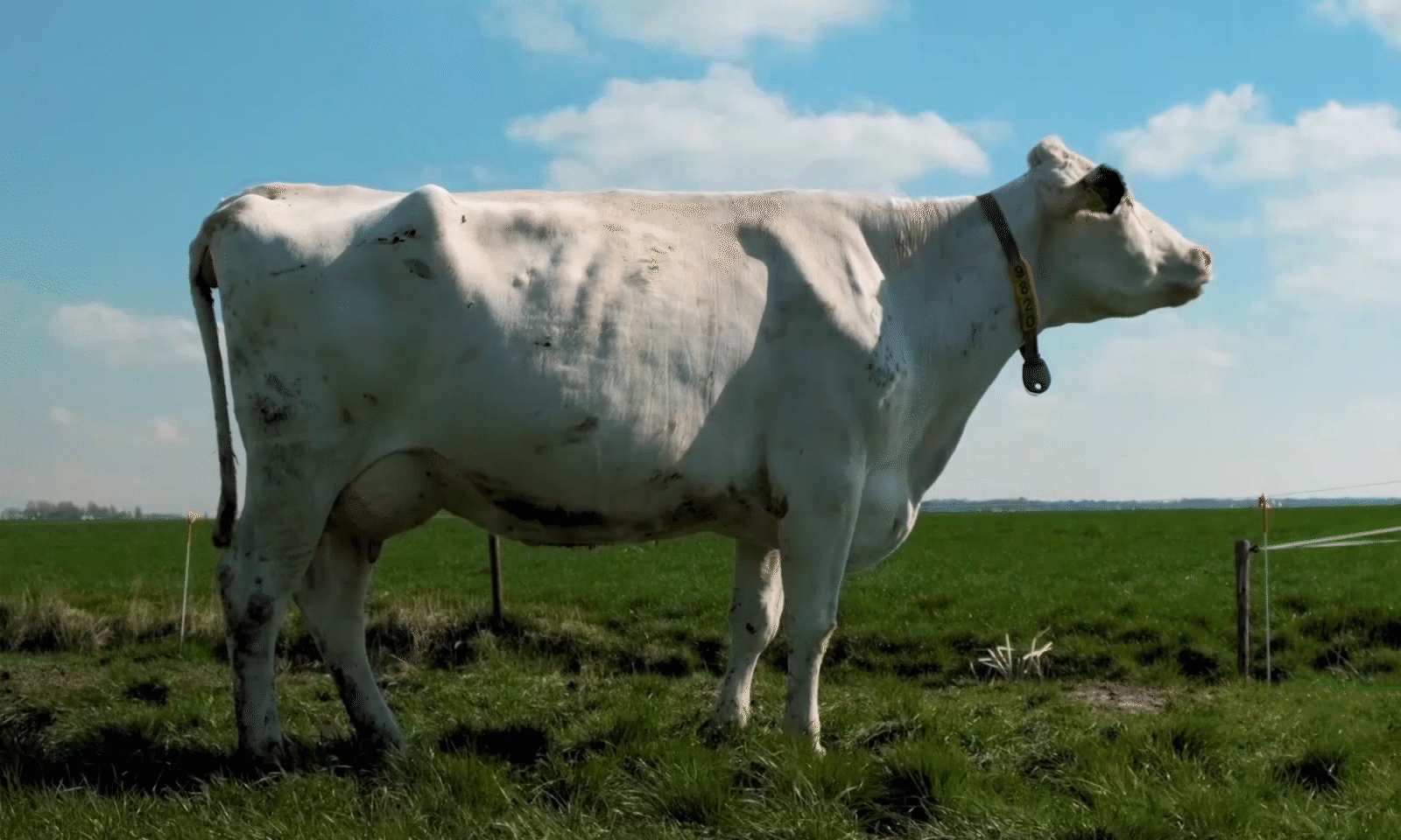 PLANETE OUI 3_2.gif