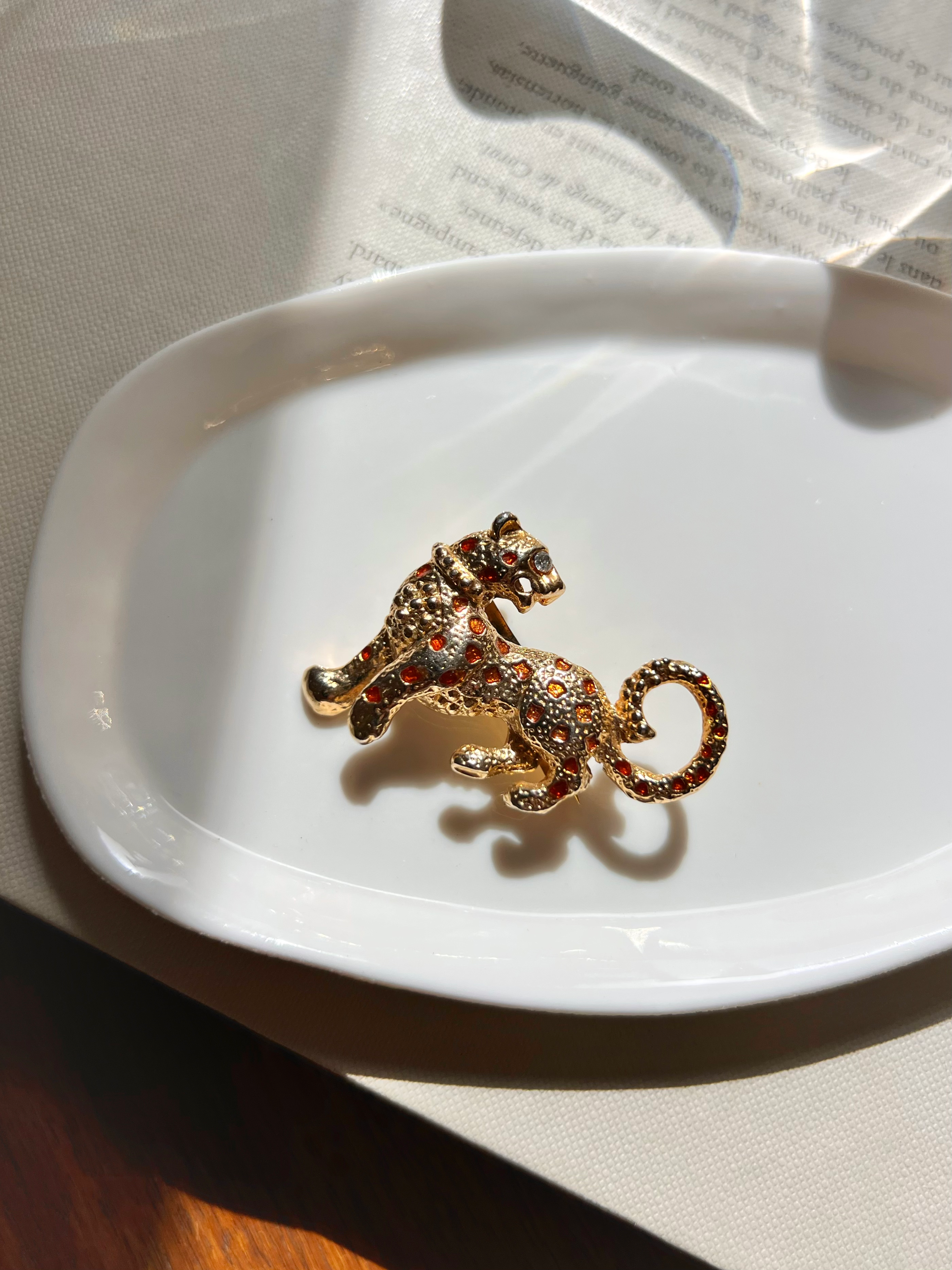 Broche Carnegie