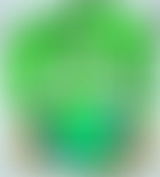 Hablemos un poco de ecología y desarrollo sustentable