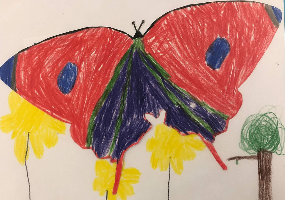 Fiddlehead raises and releases monarchs