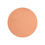 Thumbnail: Pastel Apricot