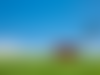 Health Care Lessons from a patch of Grass