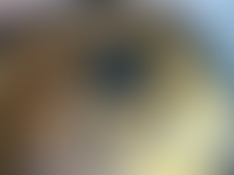 La bussola quadrantale