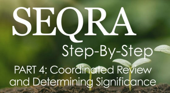 SEQRA Step-By-Step: PART 4 – Coordinated Review and Determining Significance