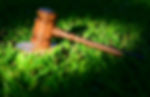 Gavel on grass