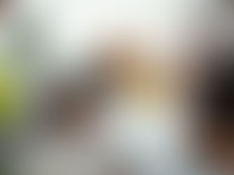 NY Senate Bill Seeks to Ban Certain Broad-Form Indemnity Clauses for Design Professionals