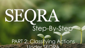 SEQRA Step-By-Step: PART 2 - Classifying Actions Under SEQRA