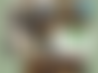 Sharing Insight with HR Professionals at the 2023 Legal Update