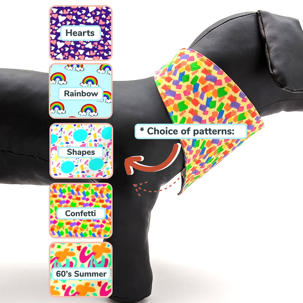 Fun Prints for Classic Pet Banandas