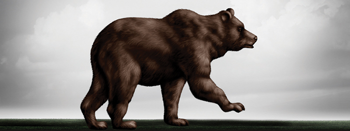 Large brown bear walking in profile against a cloudy sky
