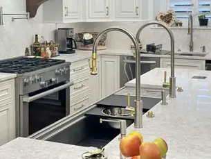 60" Luxury 316L Workstation Sink by Rachiele