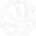 33838.png.png
