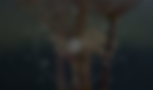 Frame 1321314490.png