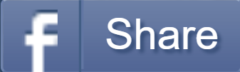 Screenshot 2026-08-11 131755.png
