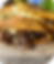Container1.png