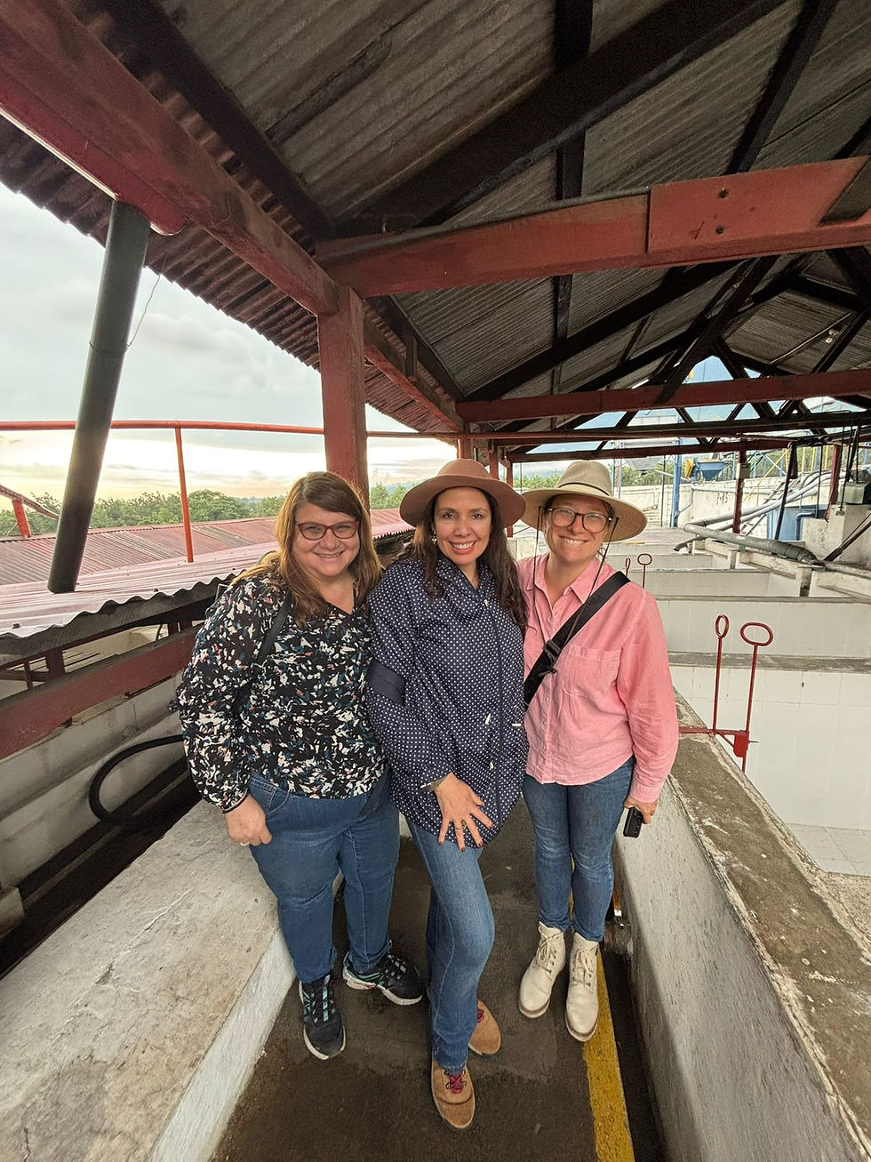 Strengthening partnerships for the development of the coffee sector