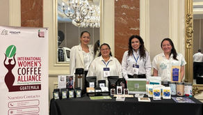 Alianzas que Transforman: IWCA Guatemala impulsa el Café de Mujeres en Expo HORECA 2026