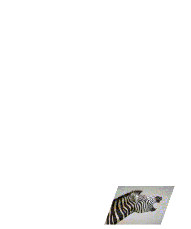 The Sampling Hypothesis.gif