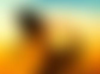 How to Open Your Heart to Allow Success in Your Career