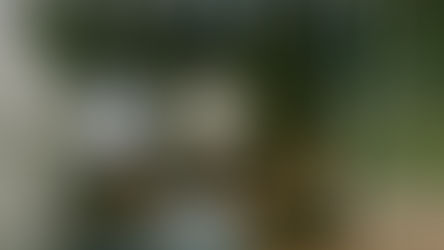 RESIDENCY ARTISTS im November 2025