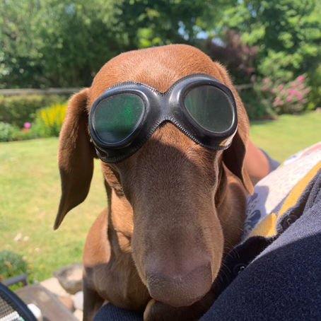 Sun Safety