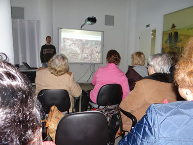 Os grandes carnívoros – lobo e lince ibérico