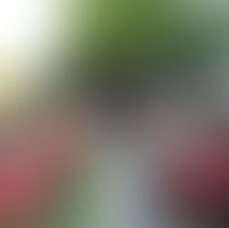 Concerto comemorativo Reserva da Biosfera