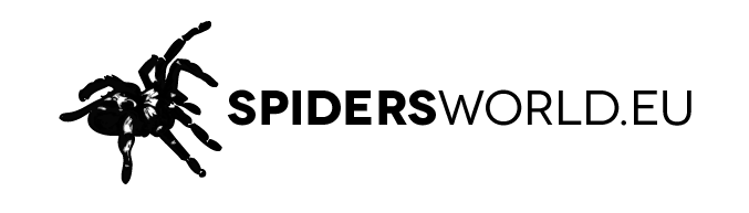 0x0.png