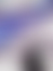 Vi racconto #2: David Gilmour (Circo Massimo, 27 Settembre 2024)