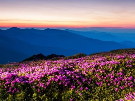 Music Monday | The Music of Spring | May 18, 2026