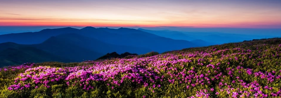 Music Monday | The Music of Spring | May 18, 2026
